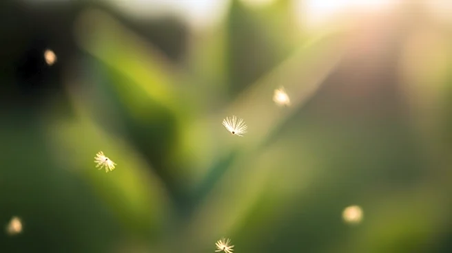 Maryland Faces Increased Allergy Attacks Amid Pollen Bursts