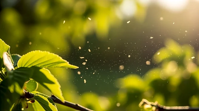 Tree Pollen Alert Issued for San Jose, CA