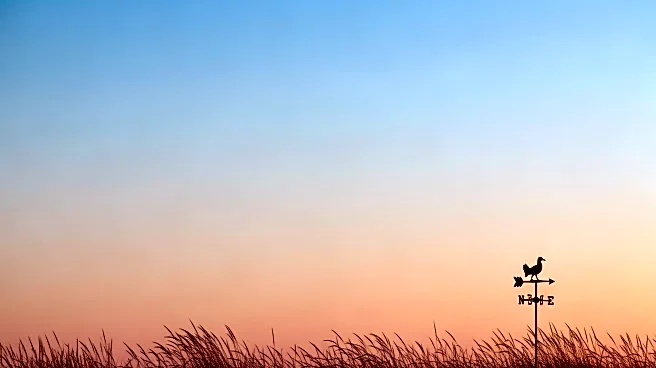 Meridian Weather Update: Clear Skies and Mild Temperatures Expected