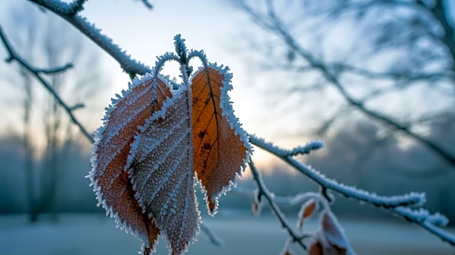 Record Low Temperatures Hit Central Virginia
