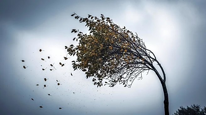 Wet and Windy Monday, Chilly Tuesday Across Maryland