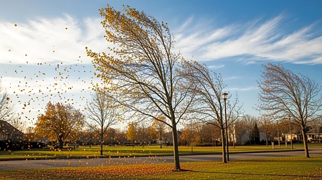 Windy and Cooler Conditions Expected in Philadelphia Region on Monday
