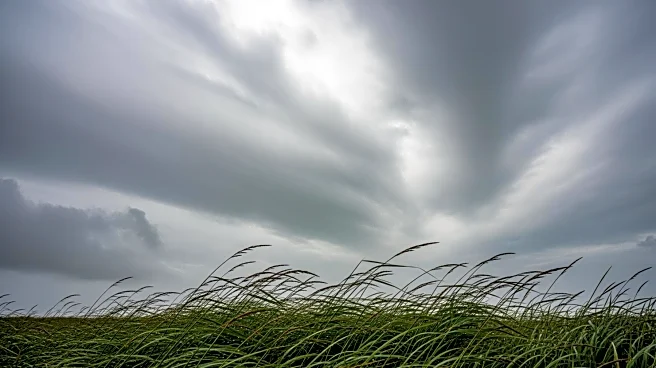 Rain and Wind Expected in Salisbury, MD as Weather System Moves Through