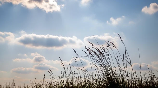 Partly Cloudy Skies in Greenwood, SC with Mild Winds