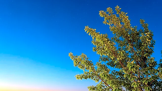 Omaha Weather: Clear Skies and Mild Temperatures Expected