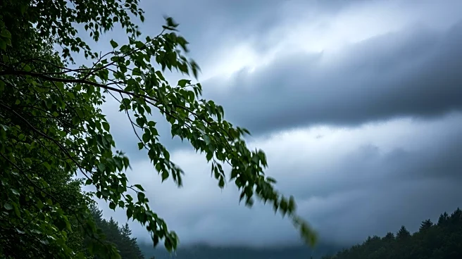 Eugene Weather: Rain and Wind Expected This Week