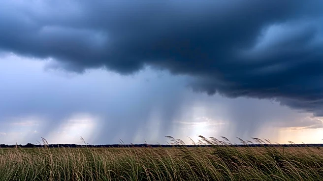 Maryland Weather Forecast: Rain and Wind Expected