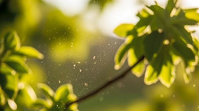 Tree Pollen Alert Issued for Southeast Michigan