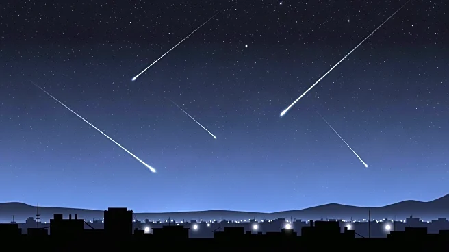 Clear Skies in Detroit Offer Meteor Shower Viewing Opportunity