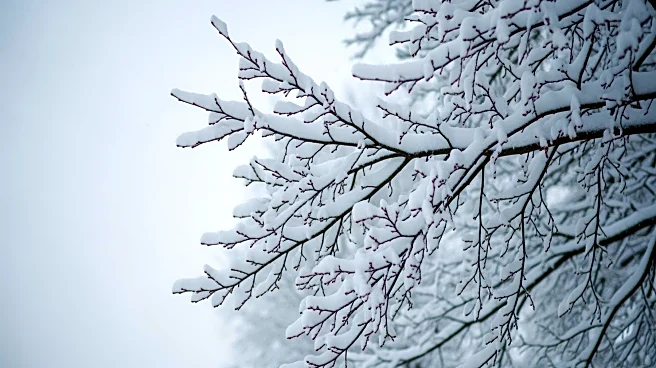 Heavy Snow Warning Issued for Yonkers, New York