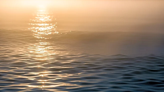 Global Humid Heatwaves Intensified by Coastal Ocean Warming