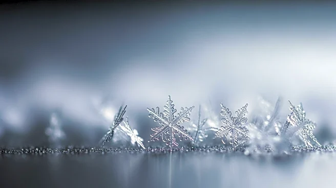 Philadelphia Weather Update: Snowstorm Advisory Issued