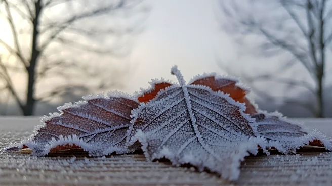 Cold Weather Expected in Roanoke Rapids, NC