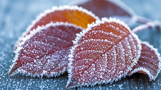 Toronto Faces Wind Chill Advisory Amid Cold Front