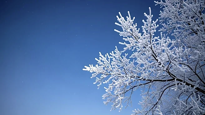 Clear Skies and Cold Temperatures in Youngstown