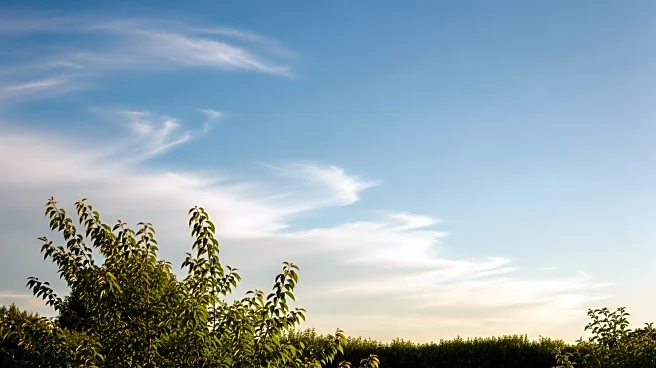 Brevard County Weather Update: Clear Skies and Mild Temperatures