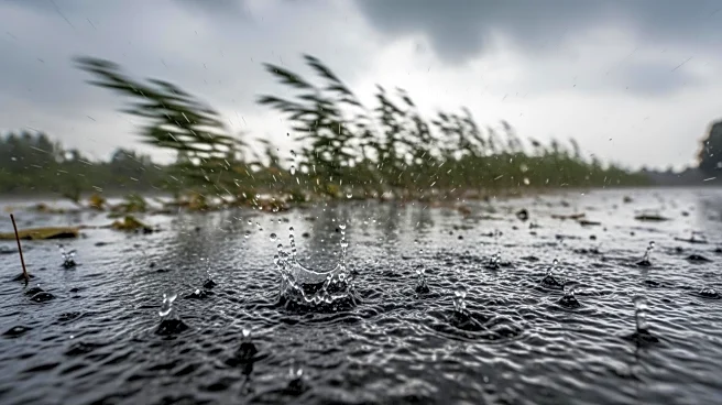 Weather Update: Newark Faces Heavy Rain and Wind on March 24, 2026