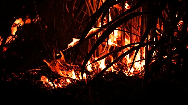 Massive early-season fires spark fears of brutal summer