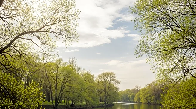Mild Weather with Highs in the 50s Expected in Twin Cities