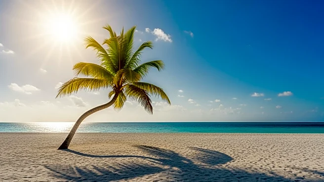 Miami Weather Update: Sunny Conditions Expected