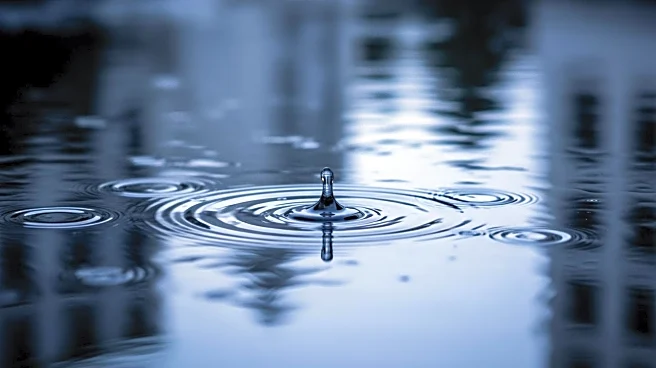 Buffalo Faces Heavy Rain and Flooding Concerns