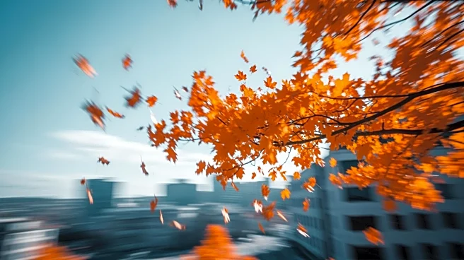 Brisk Winds Expected at Mets Opening Day in New York