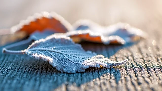 Brisk and Cold Tuesday in Philadelphia; Warmer Days Ahead