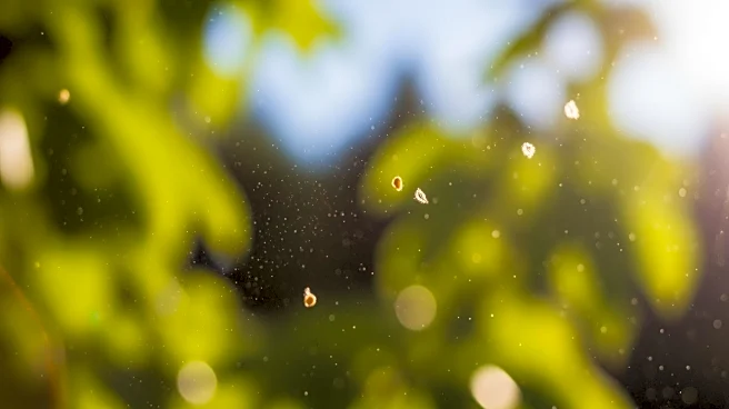 Philadelphia Faces Allergy Forecast with High Pollen Levels