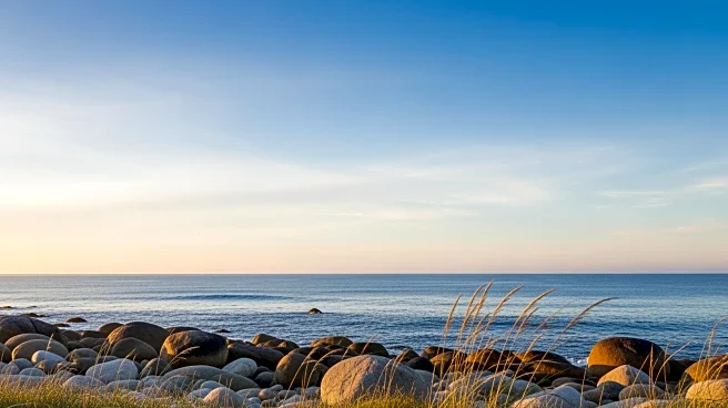 San Francisco Weather: Clear Skies and Mild Temperatures Expected