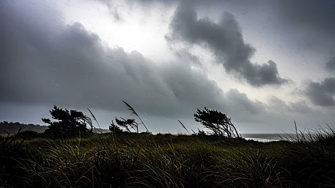 Weather Forecast for New Jersey: Rain and Wind Expected