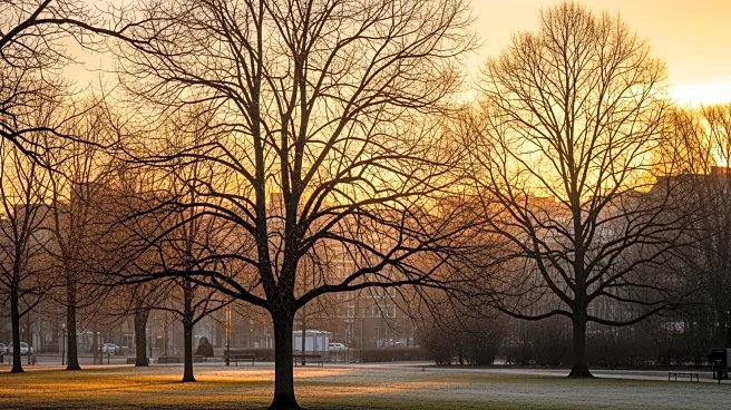 Unseasonably Warm Weather Hits Twin Cities, Minnesota