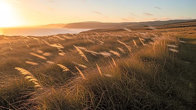 Bay Area Weather: Warm Temperatures and Increasing Winds Expected