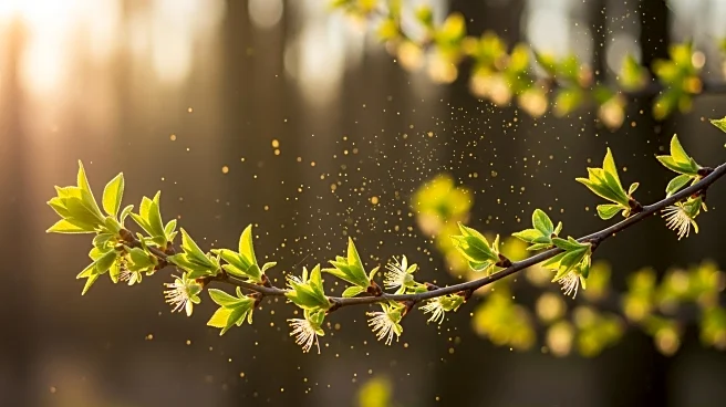 Early Allergy Season Hits Colorado Due to Warm Winter