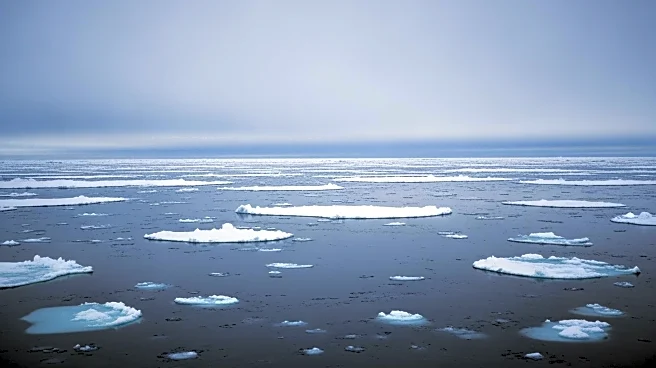 Arctic Winter Sea Ice Reaches Record Low for Second Year