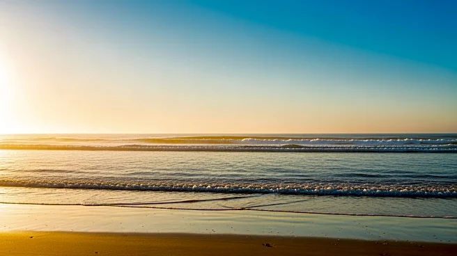 Miami Weather Update: Clear Skies and Warm Temperatures Expected