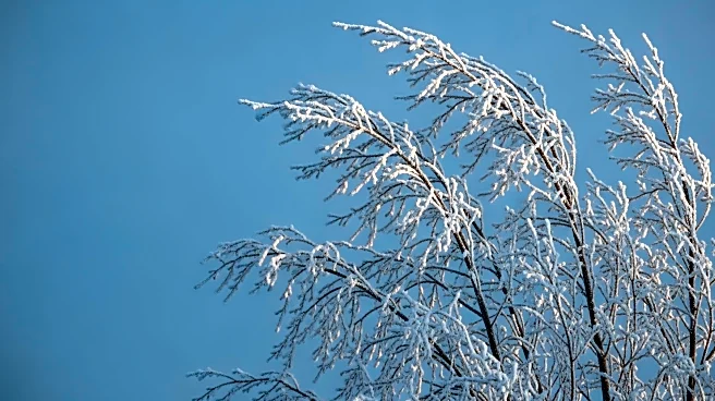 Little Rock Weather: Wind Chill Advisory Issued