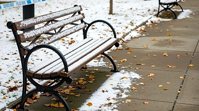 New York City Volunteer Groups Tackle Trash Cleanup Amidst Winter's Aftermath