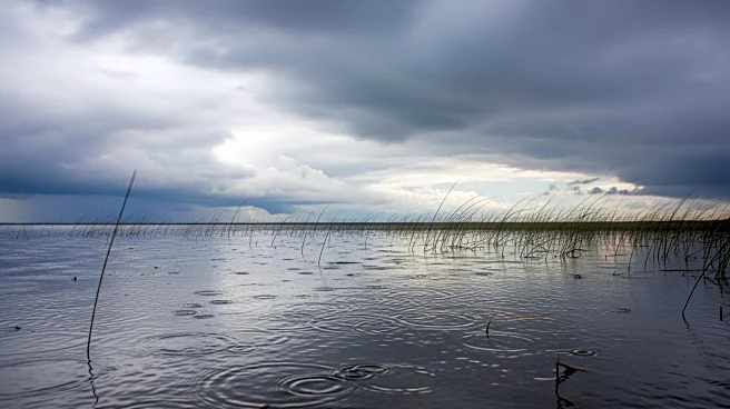 New Jersey Weather Forecast: Rain and Wind Expected This Weekend