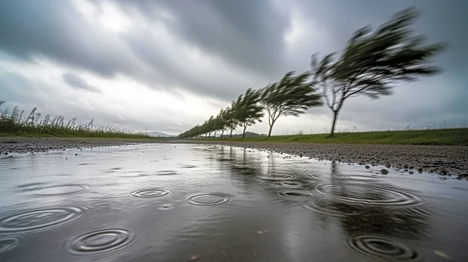 Eugene Weather: Rain and Wind Expected This Weekend