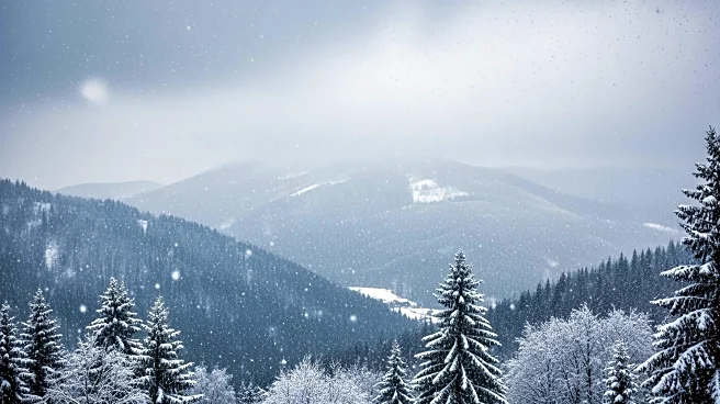 Heavy Snow Warning for Southern Alaska Panhandle