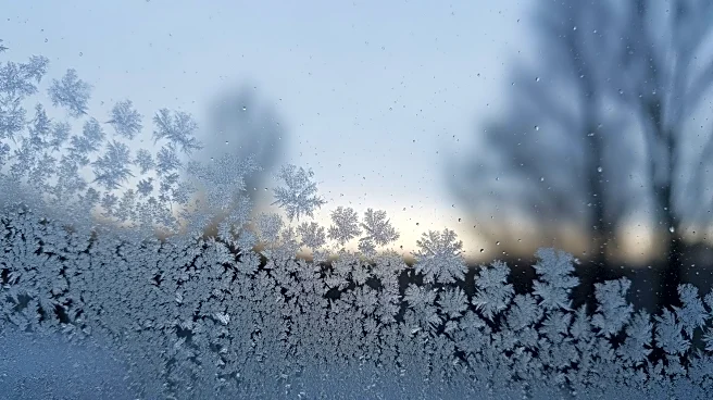 Cold Weekend in New York Before Spring Warmup