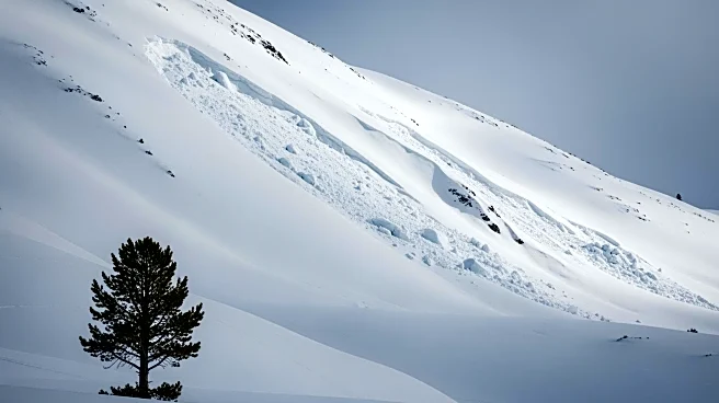 Deadly Avalanche Near Lake Tahoe Raises Concerns Over Changing Risks