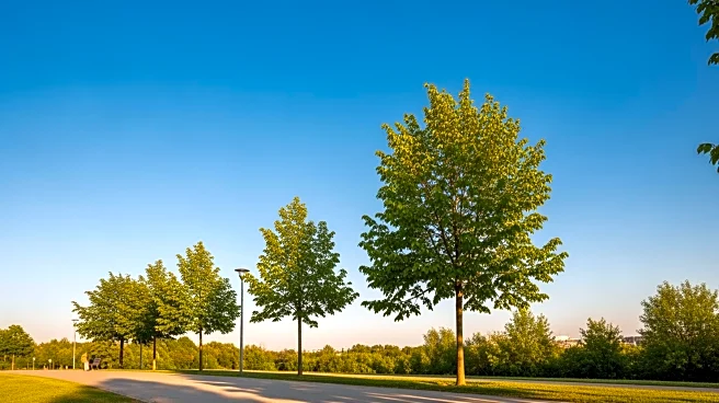 West Valley City Faces Unseasonably Warm Weather with Clear Skies