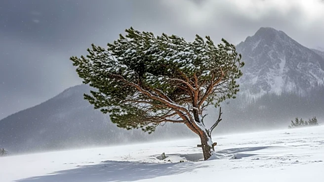Snow and Stormy Winds Disrupt Life in the Balkans