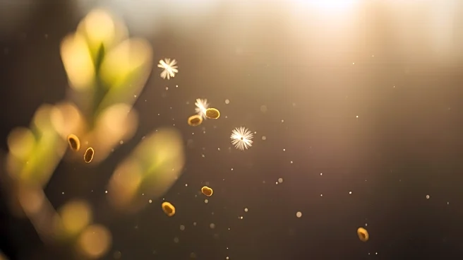 Early and Intense Allergy Season Hits Utah