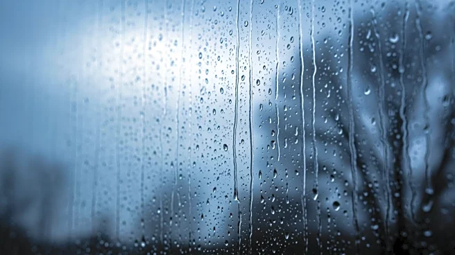 Chilly and Showery Weather Expected in Maryland Friday Evening