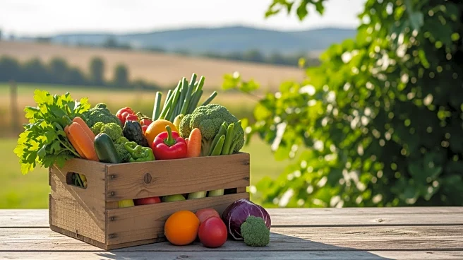 Sustainability Challenges of Farmers Markets in Umpqua Valley