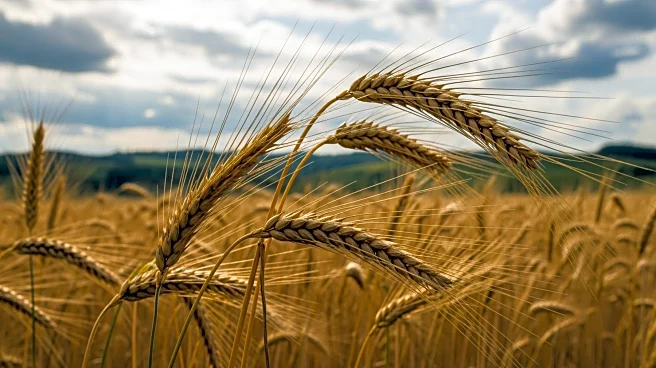 Umpqua Valley Farmers Adapt to Weather Changes