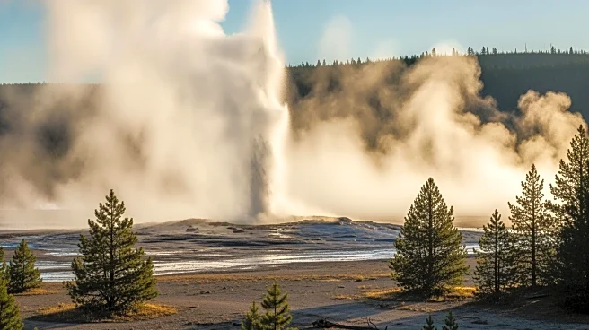 Yellowstone National Park: Geyser Fog Creates Unique Weather Phenomenon