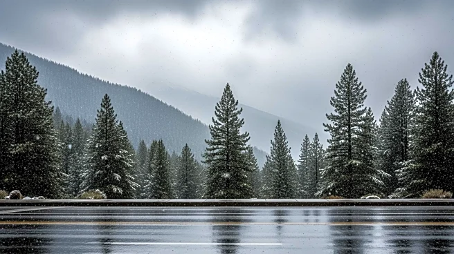 Early Spring Storms Bring Snow to California, Drizzle to Los Angeles